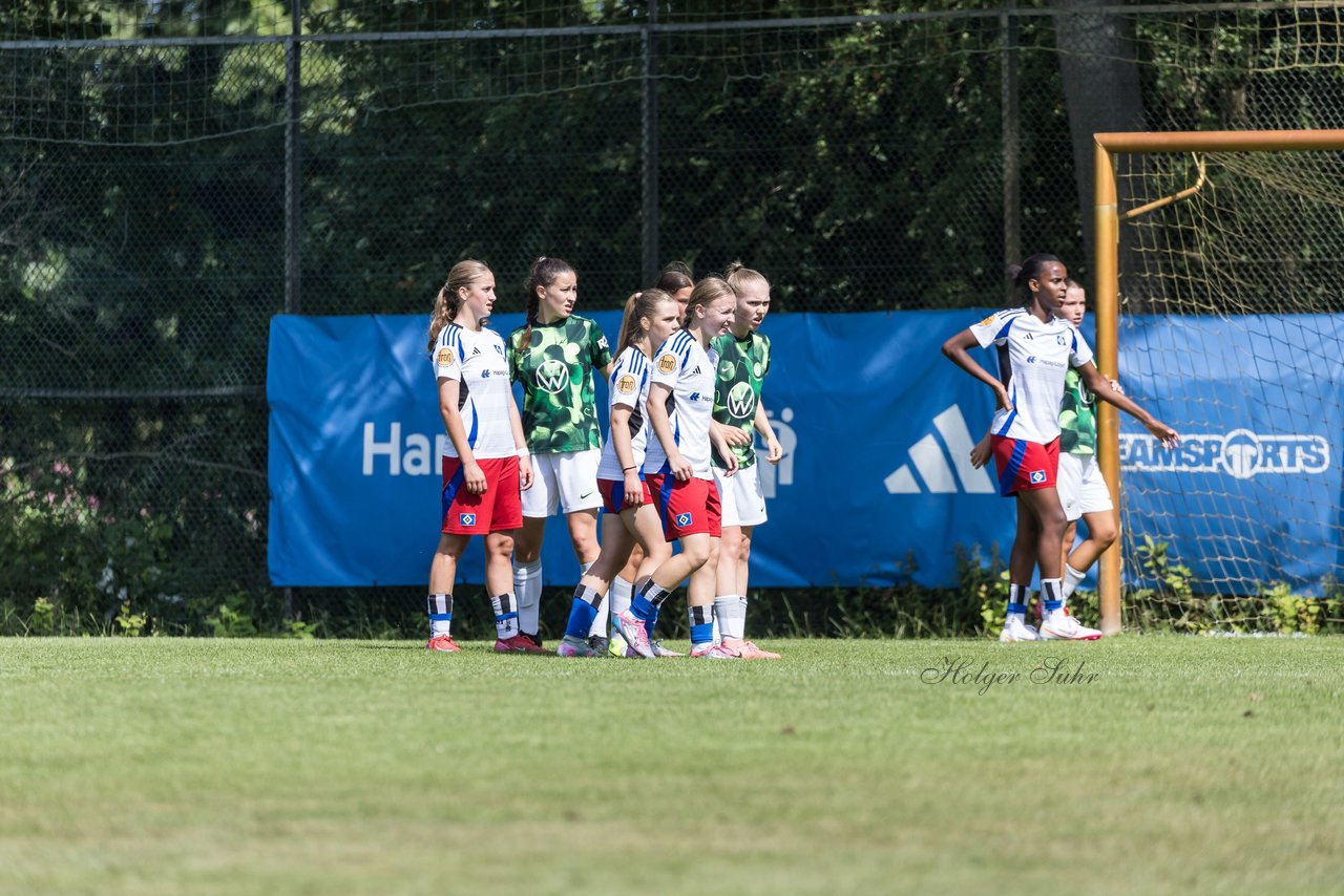 Bild 333 - wBJ Hamburger SV - VfL Wolfsburg : Ergebnis: 5:1